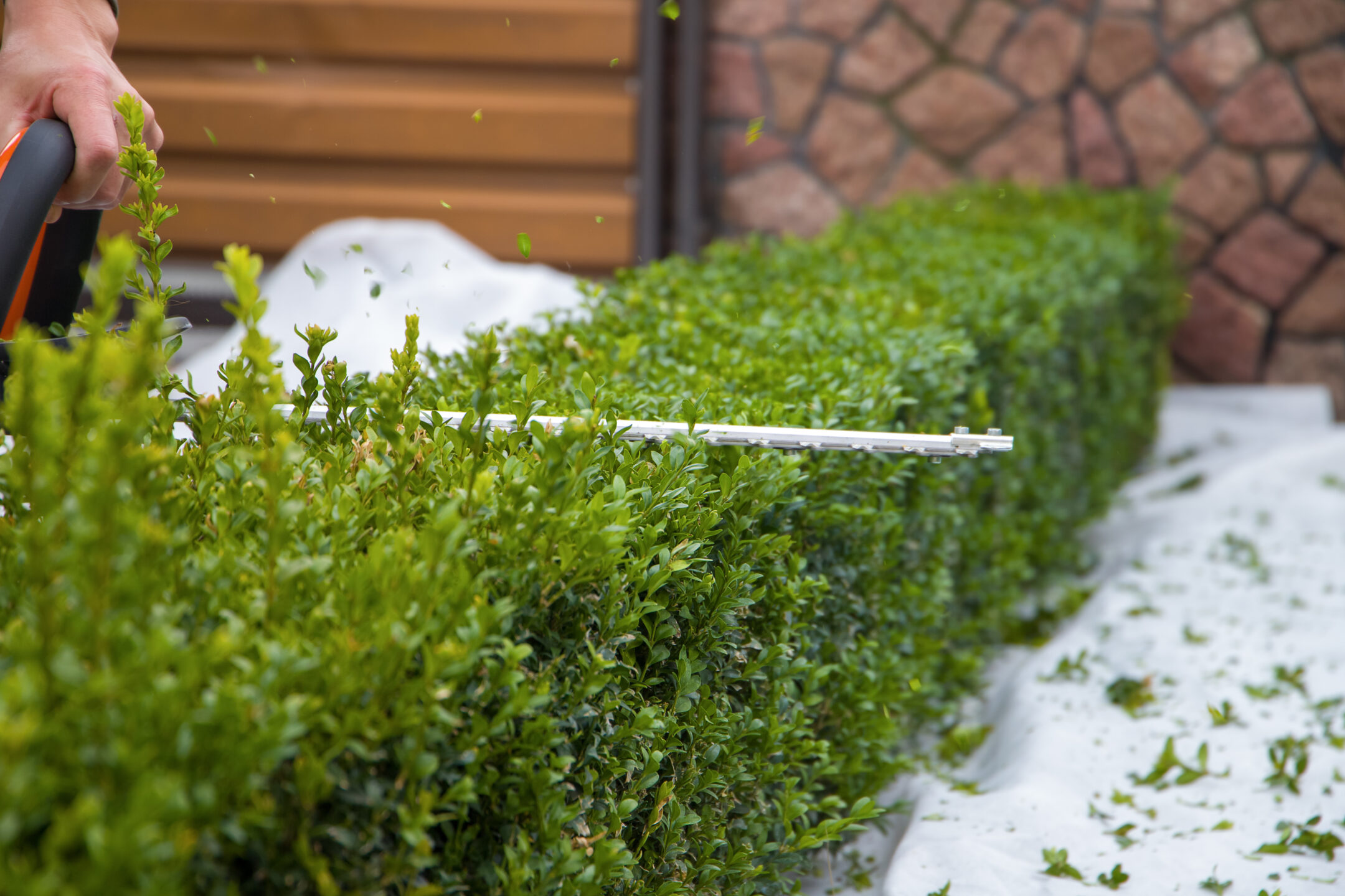 Service de jardinage et bricolage dans le Finistère. Prestations à domicile avec avantage fiscal de 50% selon conditions du service à la personne.